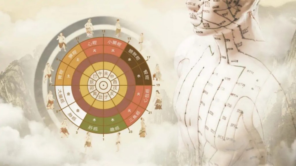 Fonctionnement des douze périodes de deux heures de la journée reliant le macrocosme et le microcosme