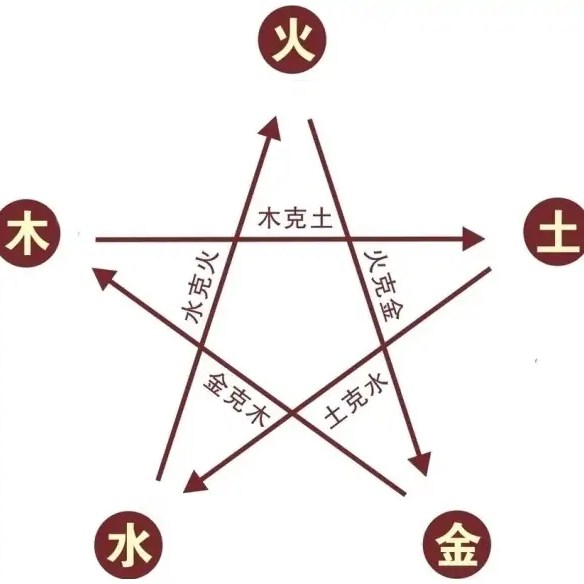 Schémas du cycle de domination