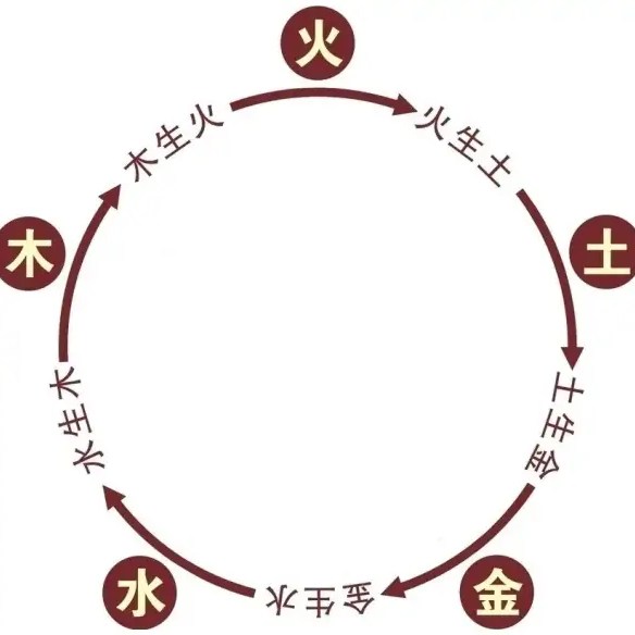 Schémas du cycle d’engendrement