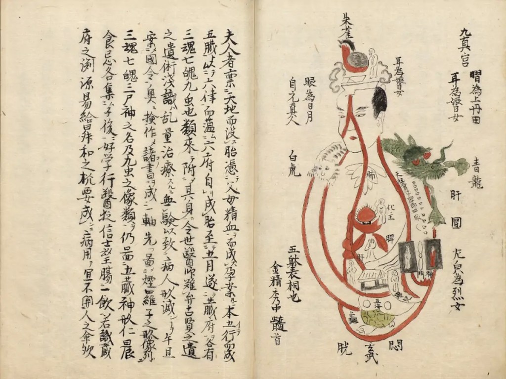 Le Sūtra des Cinq Viscères de Jivaka, Musée national du palais de Taiwan