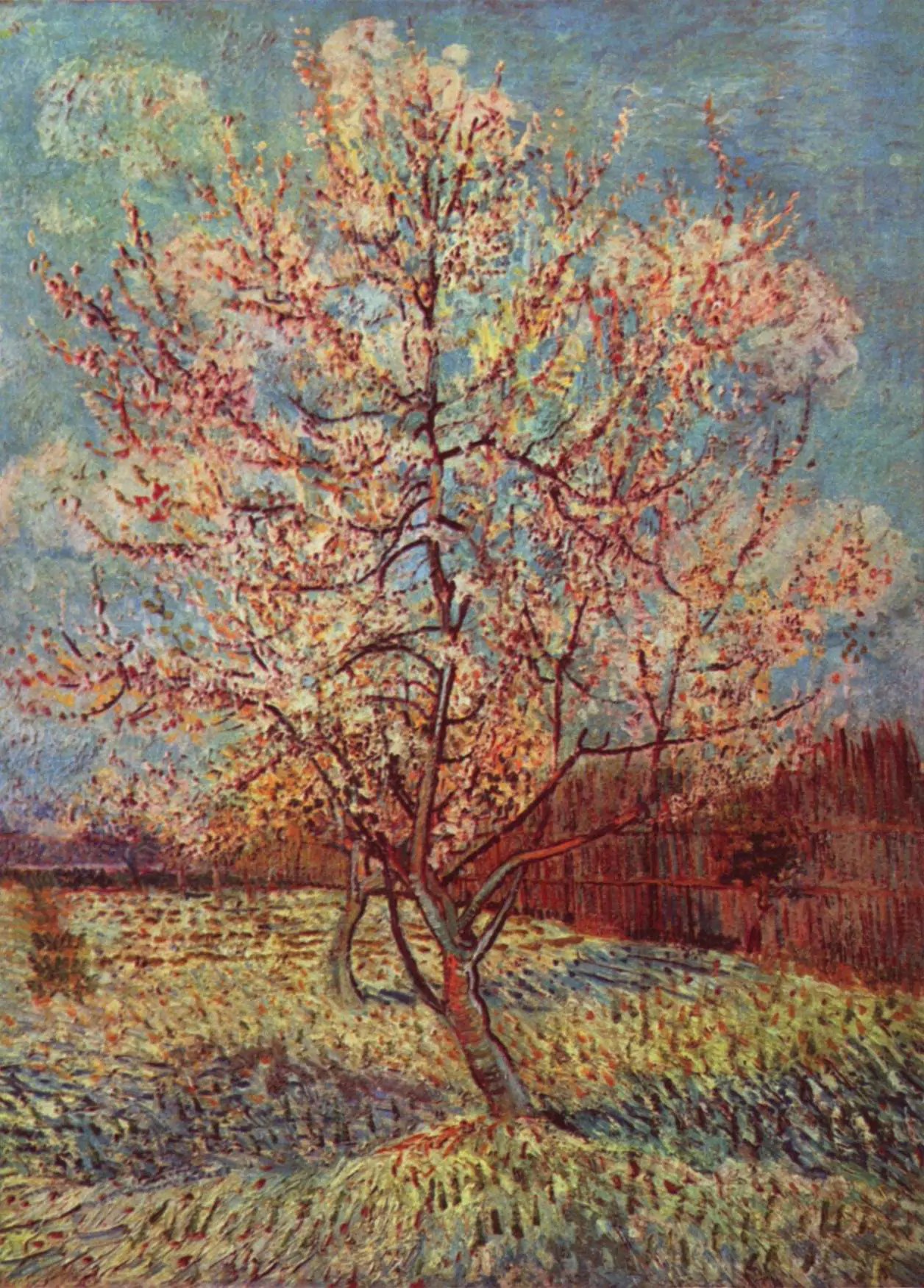 Pêcher en fleur, 1888, huile sur toile, Vincent van Gogh (1853–1890)