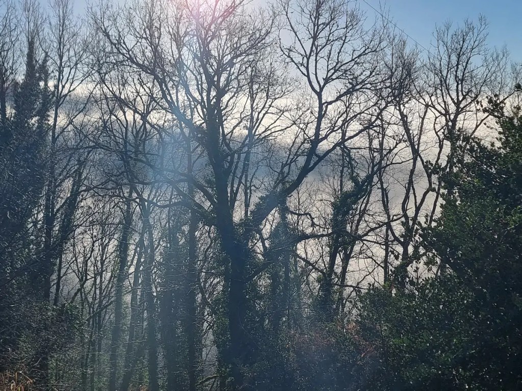 Pleaux, décembre 2025, photographie de Dominique Clergue