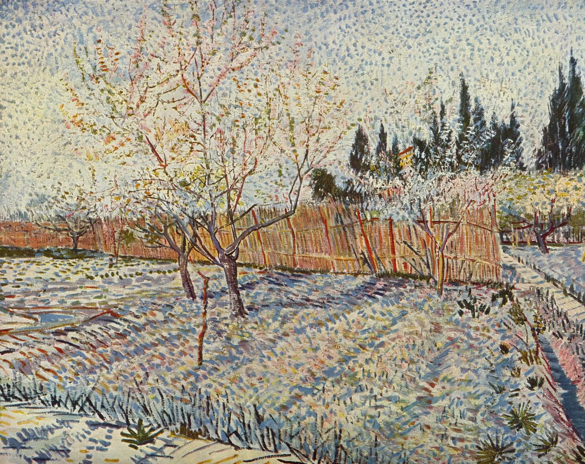 Verger avec cyprès, 1888, huile sur toile, Vincent van Gogh (1853–1890)