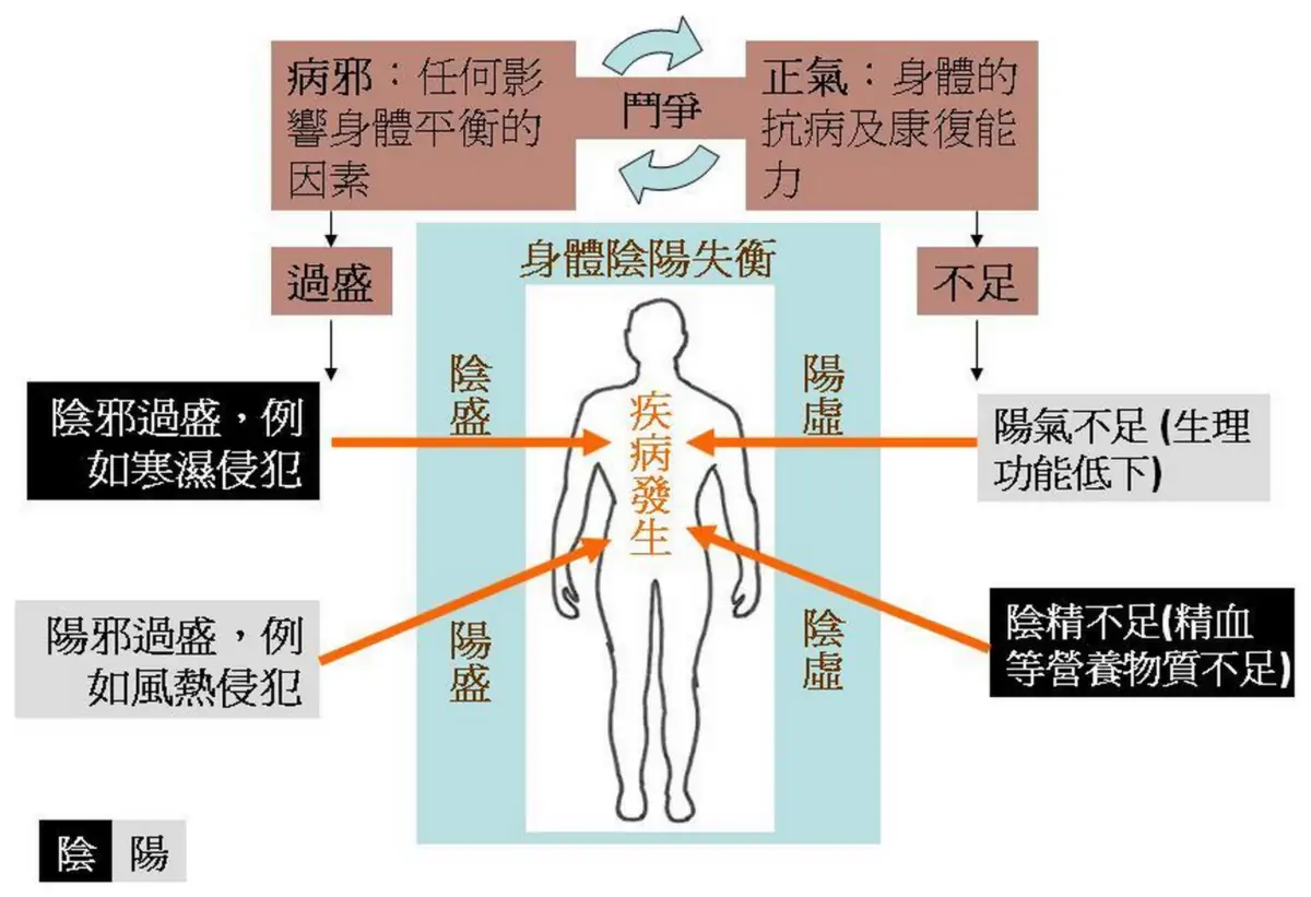 Illustration de l'application du Yin et du Yang en pathologie de la médecine traditionnelle chinoise