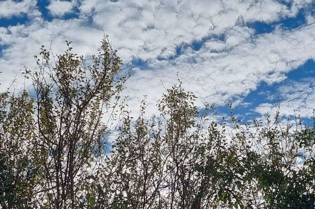 Ciel savignacois, photographie de Dominique Clergue