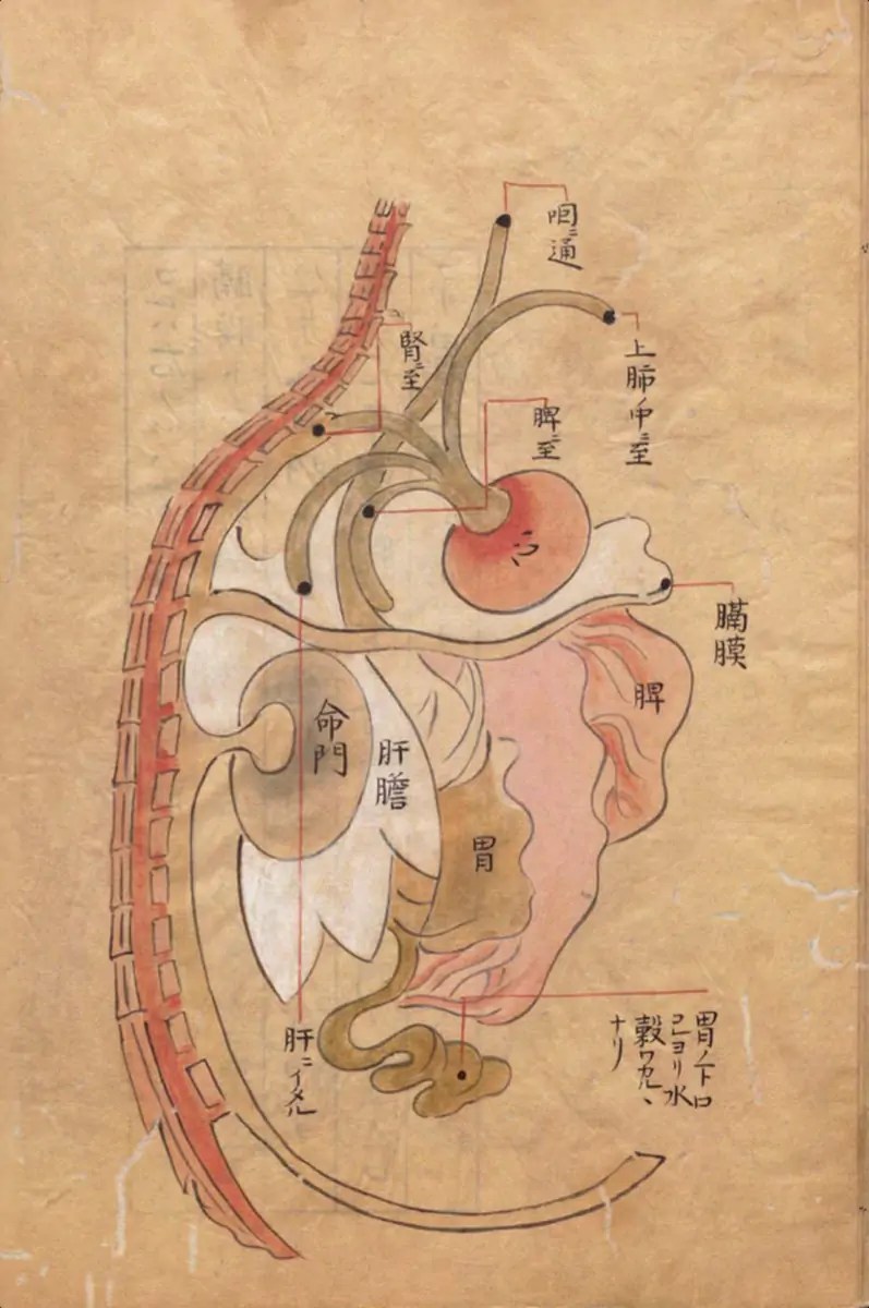 Communication des connecteurs des cinq vaisseaux solides avec le cœur, Kajiwara Shōzen