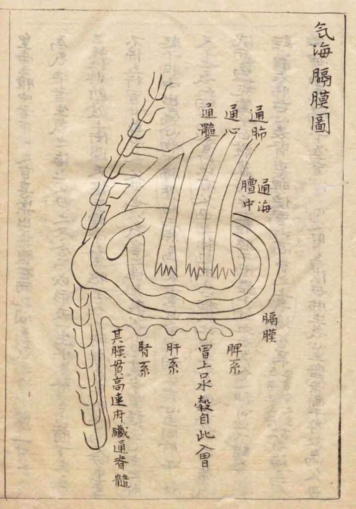 Illustration de la mer de qi et du diaphragme, Wang Haogu