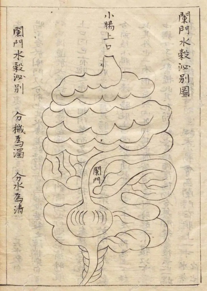 Illustration de la porte de séparation de l'eau et des grains, Wang Haogu