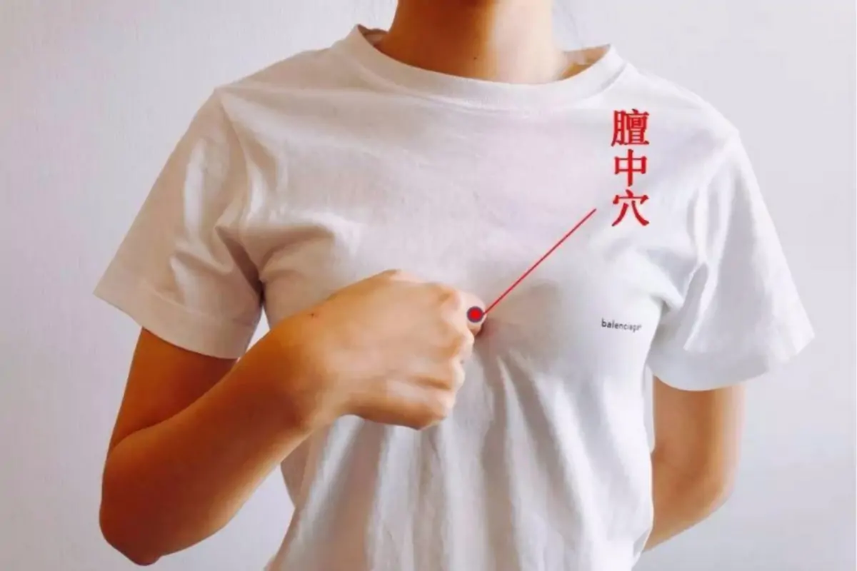 Centre du thorax (膻中 shān zhōng) est le dix septième point du vaisseau conception