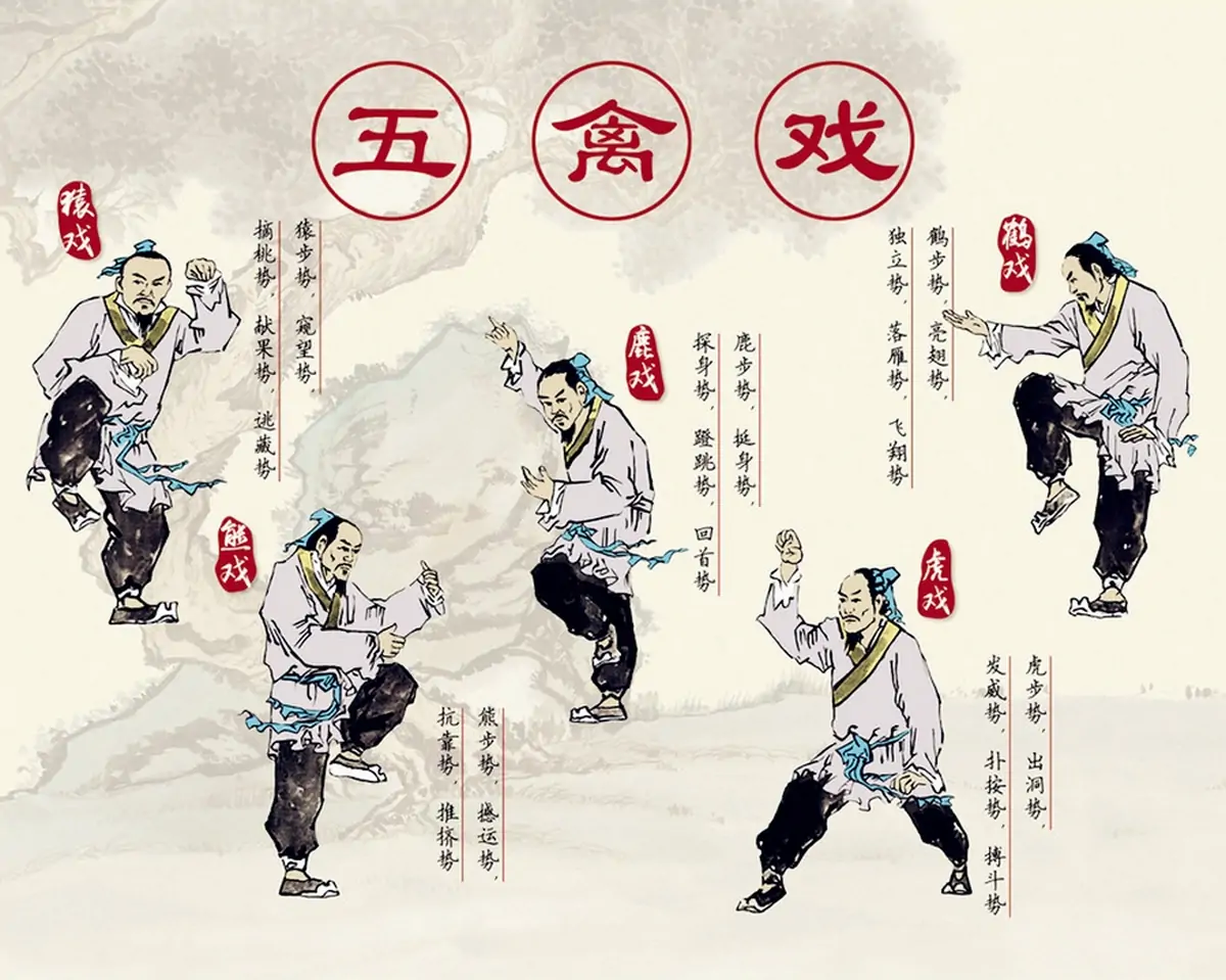 Illustration du qi gong des cinq animaux