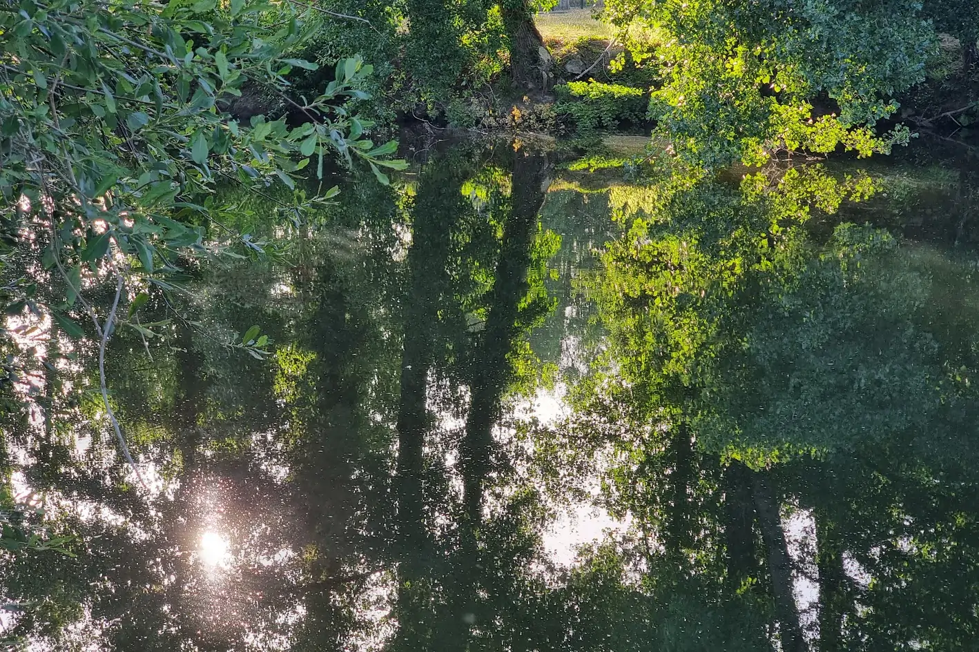 Au bord de l'Aveyron, Villefranche de Rouergue, juin 2026, photographie de Dominique Clergue