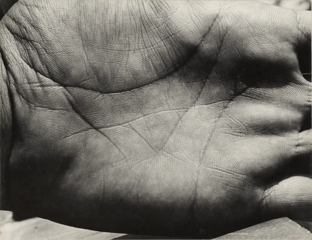 La paume de main de Pablo Picasso, épreuve gélatino-argentique, 1930, photographie d'André Villers.