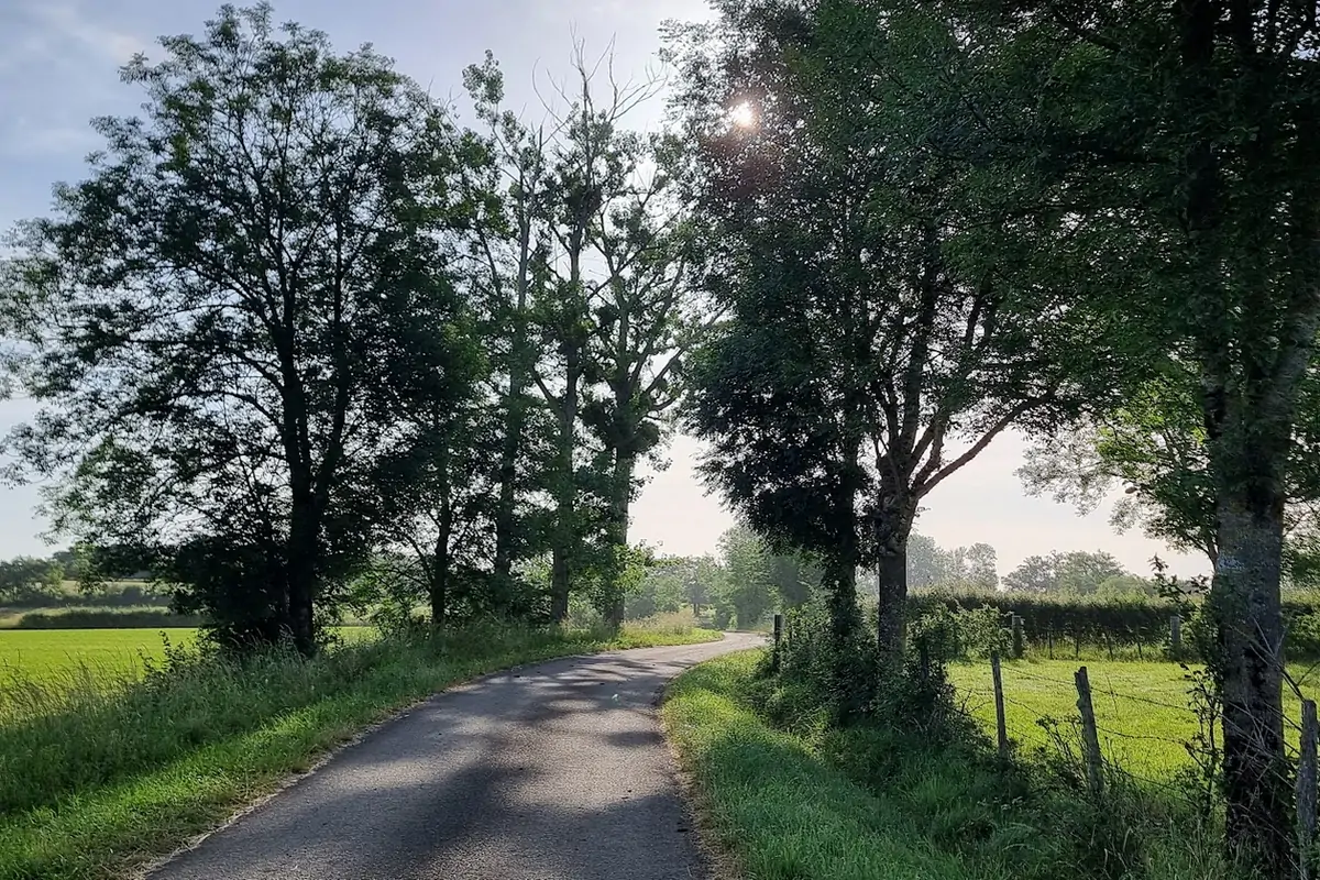 Paysage savignacois, juin 2026, photographie de Dominique clergue