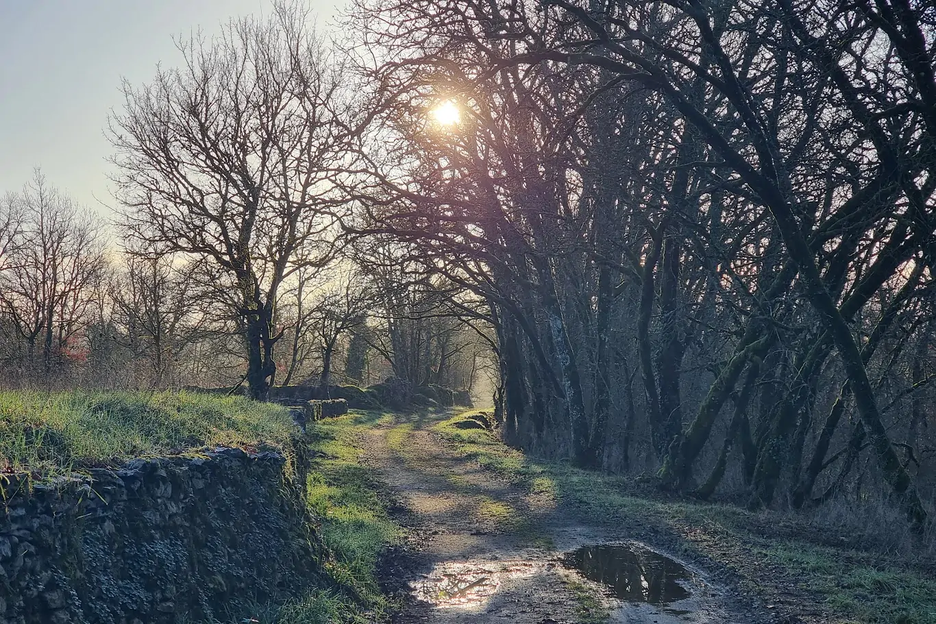 Autour de Villeneuve en Aveyron, janvier 2025, photographie de Dominique Clergue