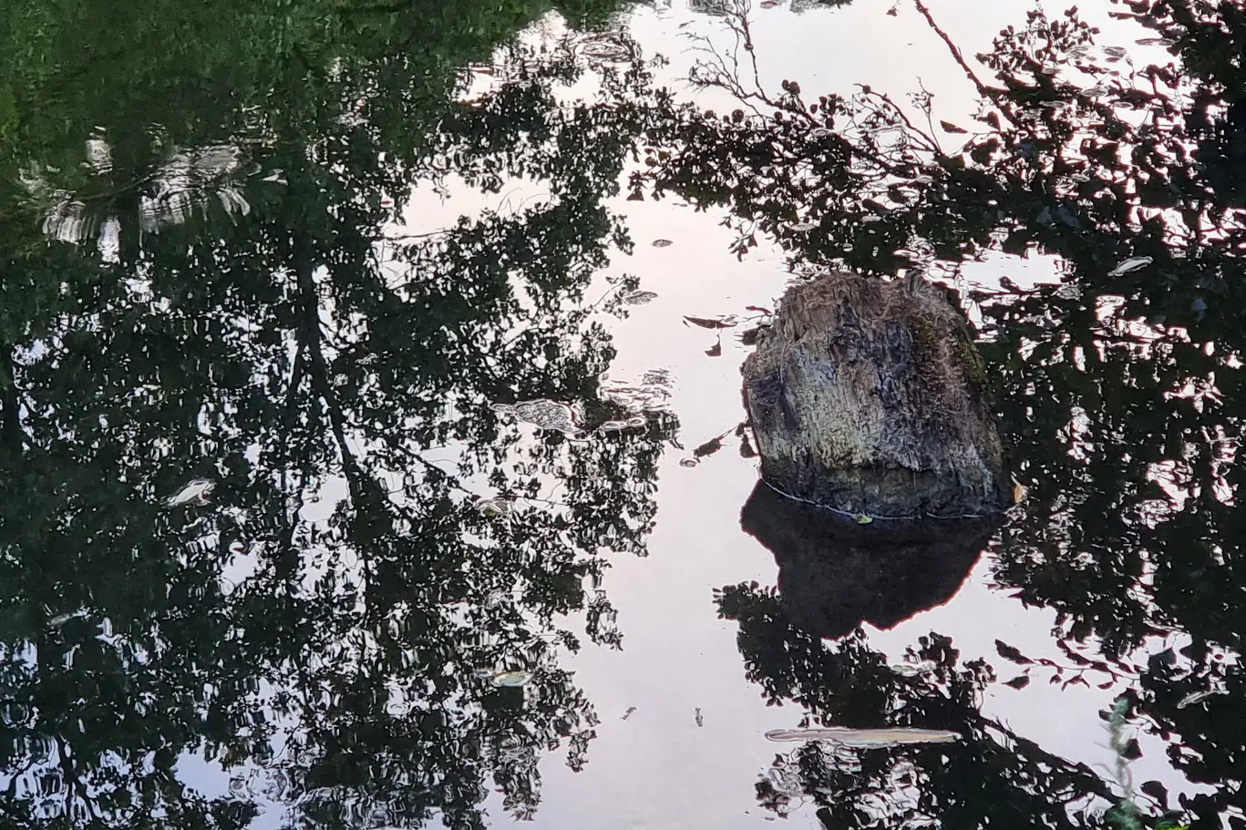 Reflets et rocher en rivière d'Aveyron, Villefranche-de-Rouergue août 2026, photographie de Dominique Clergue